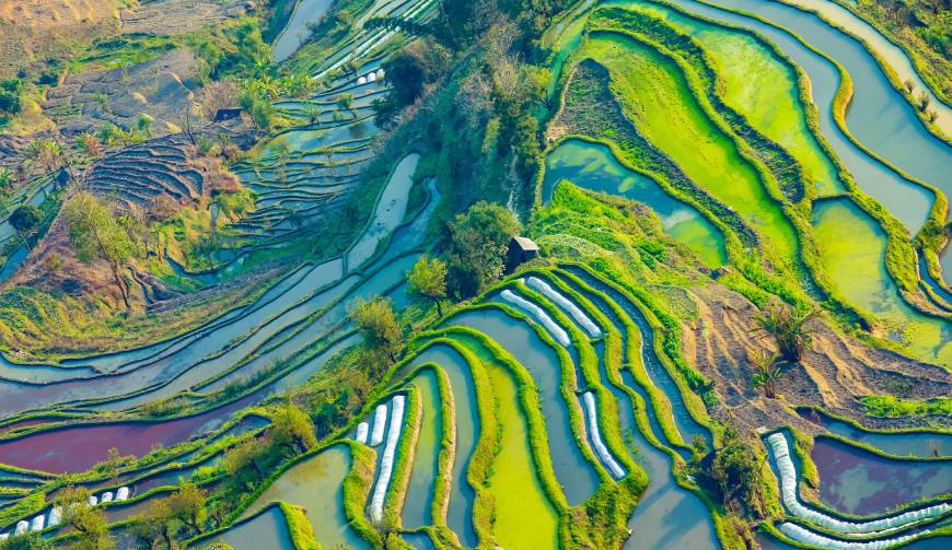宝妈必备神器：碑林区产品视频拍摄轻松育儿好帮手