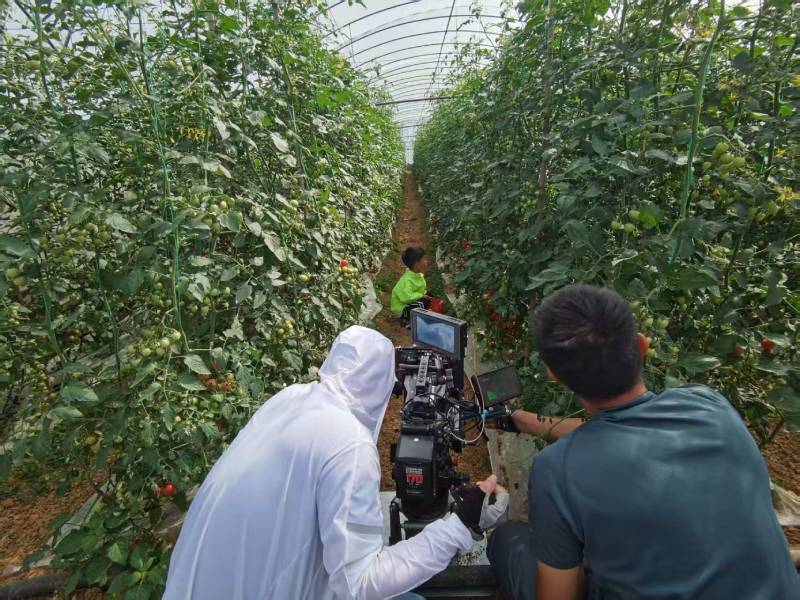 碑林区产品宣传视频拍摄公司进阶指南，助力品牌抢占传播高地